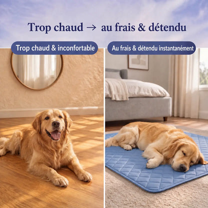 Tapis rafraichissant